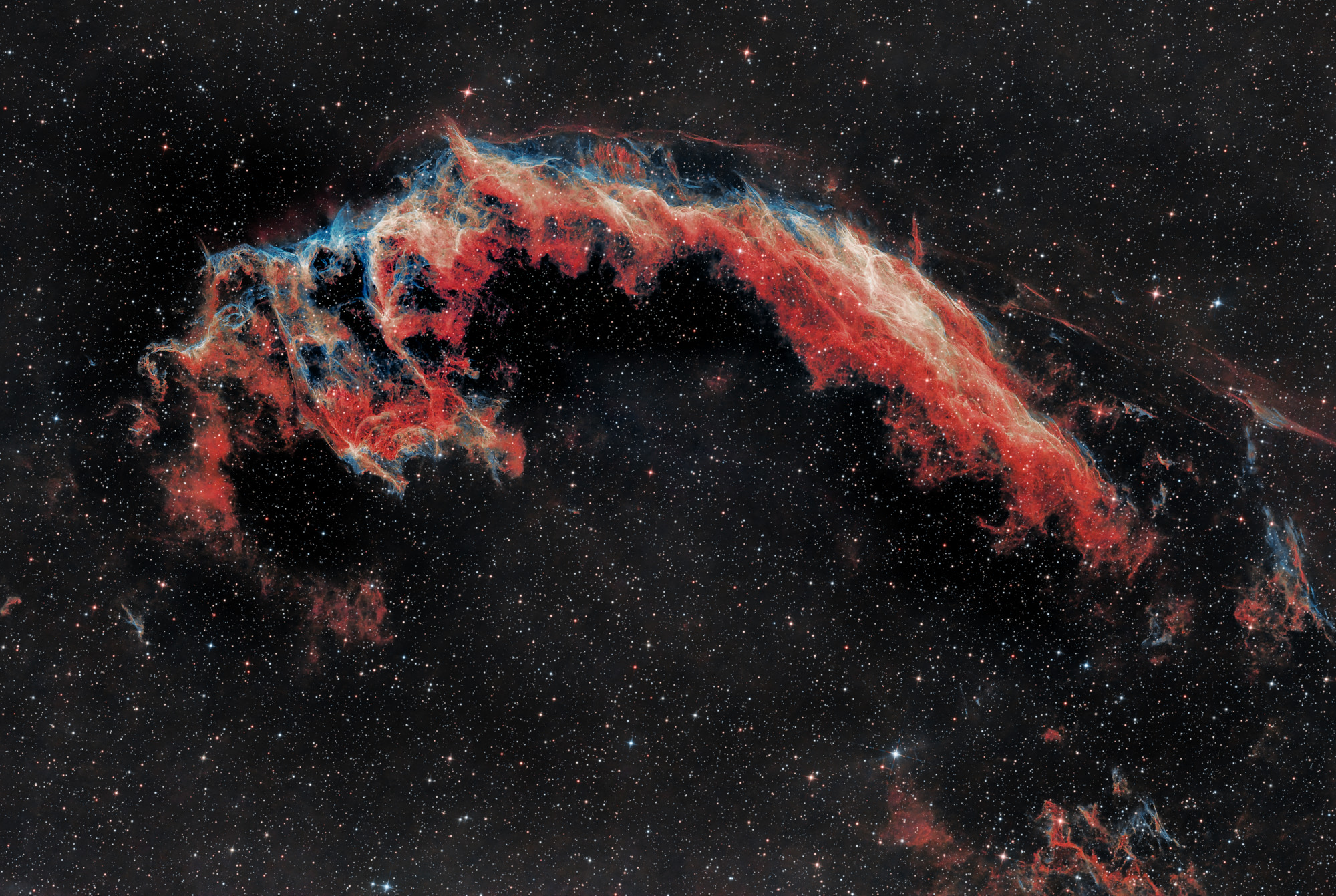 A bat can be seen in the easternmost part of the Cygnus Loop and is therefore also called the Bat Nebula NGC 6995.